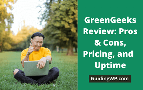 GreenGeeks Review